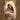 Gabriel Heaton painting of the Virgin Mary in white robes with a soft halo tenderly holding the newborn baby Jesus swaddled in white cloth