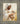 Gabriel Heaton painting of Jesus Christ in white robes tenderly holding a small white lamb close to his chest with a gentle loving expression