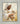 Gabriel Heaton painting of Jesus Christ in white robes tenderly holding a small white lamb close to his chest with a gentle loving expression