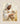 Gabriel Heaton painting of Jesus Christ in white robes tenderly holding a small white lamb close to his chest with a gentle loving expression
