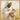 Gabriel Heaton painting of Jesus Christ in white robes tenderly holding a small white lamb close to his chest with a gentle loving expression