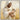 Gabriel Heaton painting of Jesus Christ in white robes tenderly holding a small white lamb close to his chest with a gentle loving expression