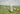 Gabriel Heaton painting of Jesus Christ as the Good Shepherd standing in a green meadow holding a staff with a flock of white sheep in the background