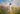 Gabriel Heaton painting of Jesus Christ in white robes walking through a vibrant wildflower meadow with pink and yellow blooms under a blue sky