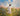 Gabriel Heaton painting of Jesus Christ in white robes walking through a vibrant wildflower meadow with pink and yellow blooms under a blue sky