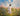 Gabriel Heaton painting of Jesus Christ in white robes walking through a vibrant wildflower meadow with pink and yellow blooms under a blue sky