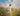 Gabriel Heaton painting of Jesus Christ in white robes walking through a vibrant wildflower meadow with pink and yellow blooms under a blue sky