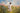 Gabriel Heaton painting of Jesus Christ in white robes walking through a vibrant wildflower meadow with pink and yellow blooms under a blue sky