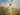 Gabriel Heaton painting of Jesus Christ in white robes walking through a vibrant wildflower meadow with pink and yellow blooms under a blue sky