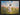 Gabriel Heaton painting of Jesus Christ in white robes walking through a vibrant wildflower meadow with pink and yellow blooms under a blue sky