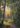 Gabriel Heaton painting of a sunlit forest path with golden light streaming through tall trees creating a luminous heavenly atmosphere