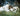 The Shepherd Who Stays - GH1038474-GW