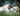 The Shepherd Who Stays - GH1038475
