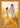 Come Follow Me, 32 × 48, Gold Plein Air Frame — framed canvas mockup [statement-preview]