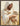 Shepherd of My Soul, 30 × 40, Slimwoods BlackGold Frame — framed canvas mockup [statement-preview]