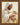 Shepherd of My Soul, 30 × 40, Vintage Collection Copper Frame — framed canvas mockup [statement-preview]