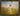 The Handiwork of God, 40 × 30, Plein Air Economy Espresso Gold — framed canvas mockup [statement-preview]