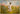 The Handiwork of God, 48 × 32, Gold — framed canvas mockup [statement-preview]