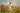 The Handiwork of God, 48 × 32, Natural Wood — framed canvas mockup [statement-preview]