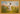 The Handiwork of God, 48 × 32, Gold Plein Air — framed canvas mockup [statement-preview]