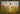 The Handiwork of God, 48 × 32, Plein Air Economy Espresso Gold — framed canvas mockup [statement-preview]