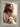 Gabriel Heaton's 'The Good Shepherd' Christian art of Jesus Christ looking to the side, holding a white lamb.