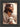 Gabriel Heaton's 'The Good Shepherd' Christian art of Jesus Christ looking to the side, holding a white lamb.