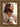Gabriel Heaton's 'The Good Shepherd' Christian art of Jesus Christ looking to the side, holding a white lamb.