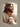 Gabriel Heaton's 'The Good Shepherd' Christian art of Jesus Christ looking to the side, holding a white lamb.