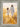 Gabriel Heaton painting of Jesus Christ in white robes walking through a golden wheat field with two young girls following closely behind him