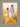 Gabriel Heaton painting of Jesus Christ in white robes walking through a golden wheat field with two young girls following closely behind him