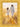Gabriel Heaton painting of Jesus Christ in white robes walking through a golden wheat field with two young girls following closely behind him